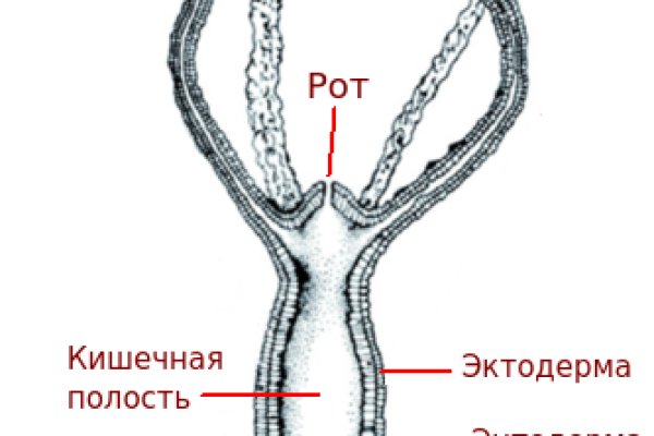 Кракен onoin