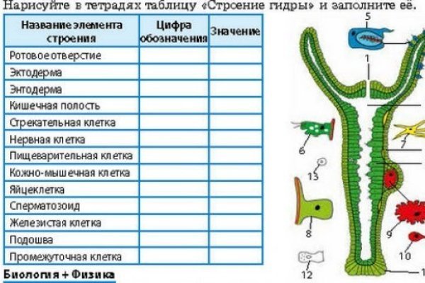 Кракен онион ссылка на тор