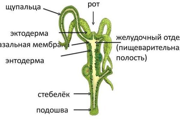 Кракен торговая площадка